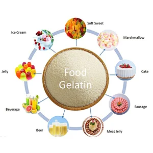 Food Additive Food grade Gelatin Plant Supply 80~280 Bloom Gelatin Powder